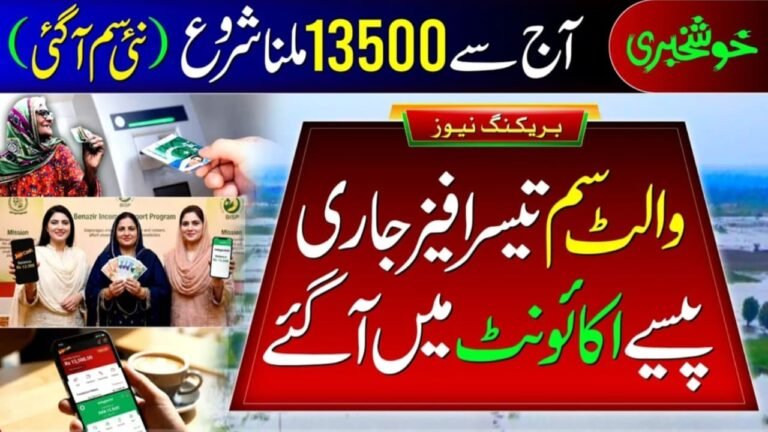 How To Check 8171 Payment Online By CNIC – Complete Guide 2026, geomuz47