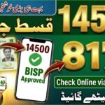 BISP 14500 Payment 2026 – Check Online Status via 8171 Portal, apkmuz47, apk muz 47